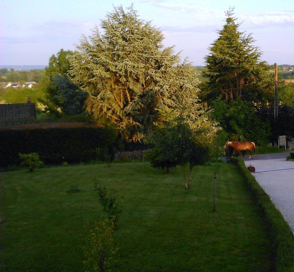 Gite Et Chambres D'Hotes Gandelain Luaran gambar